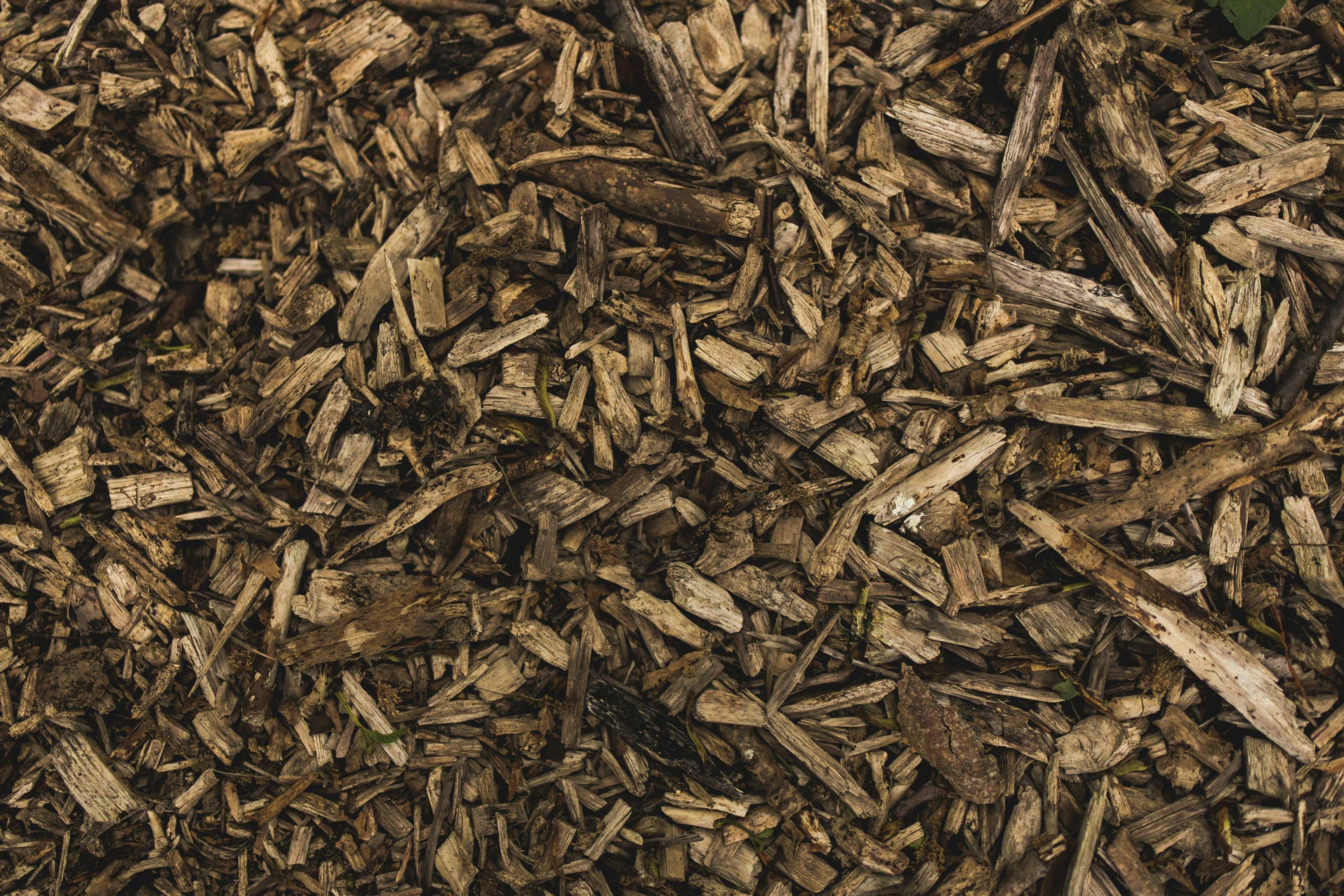 ochil-hills-bark-chips