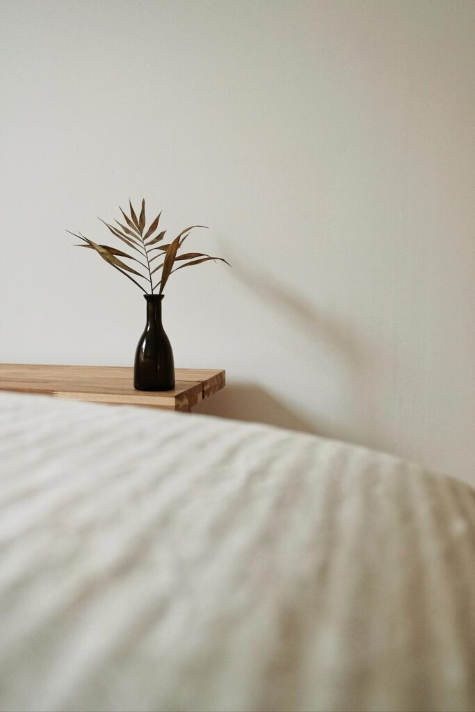 Minimal style plant and vase against a white wall.