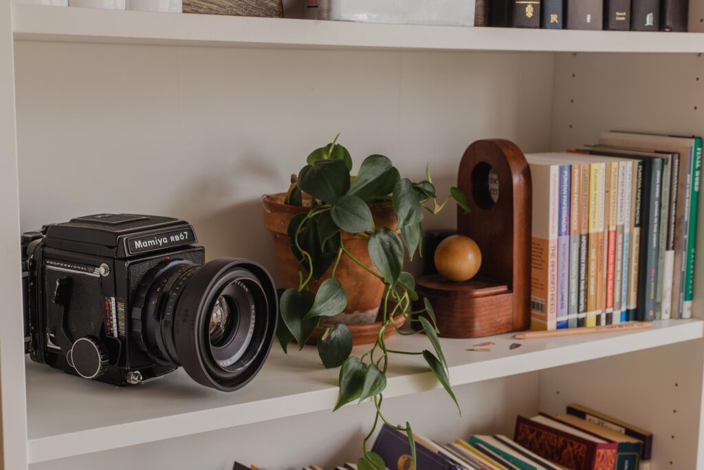 White shelving unit with books, plants and an old fashioned camera.