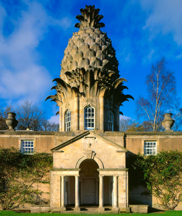 ochil-hills-the- pineapple